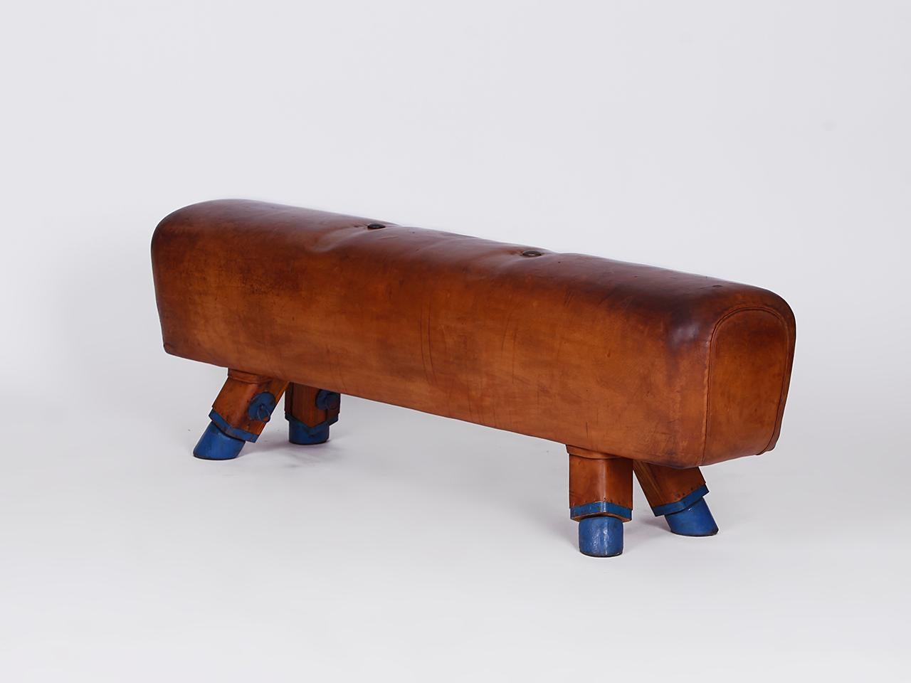 Tschechische Gymnastik-Bank/Pommelpferd/Holz- Handels-Top aus Leder, Vintage 1930er Jahre im Angebot 1