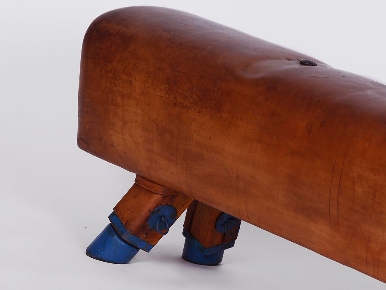 Tschechische Gymnastik-Bank/Pommelpferd/Holz- Handels-Top aus Leder, Vintage 1930er Jahre im Angebot 2
