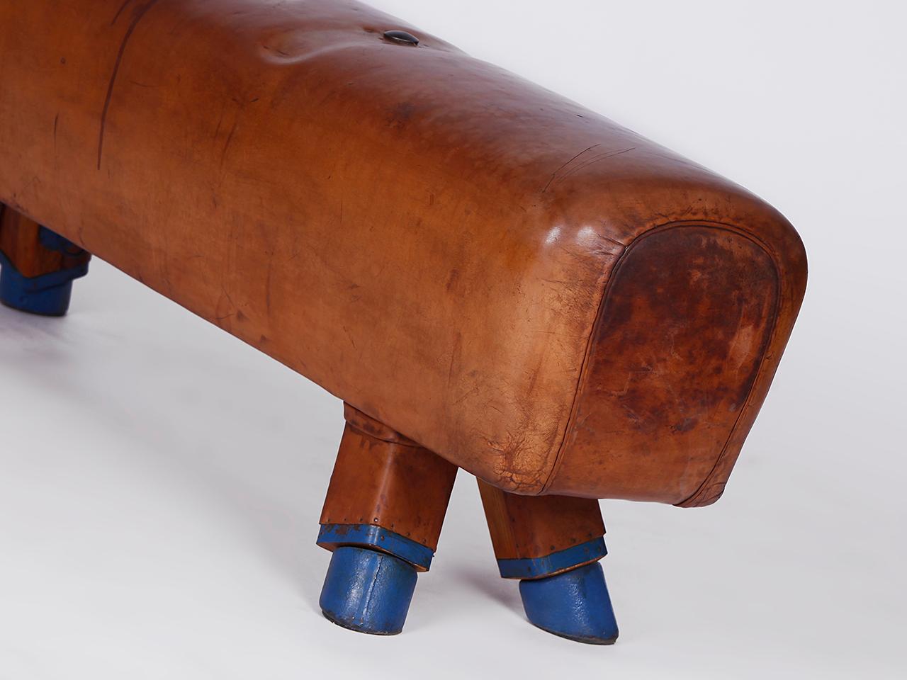 Tschechische Gymnastik-Bank/Pommelpferd/Holz- Handels-Top aus Leder, Vintage 1930er Jahre im Angebot 4