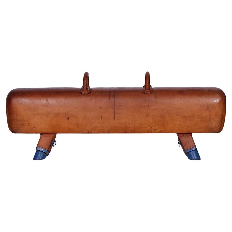 Vintage Czech Leather Gymnastics Bench Pommel Horse wooden Handels Top 1930s