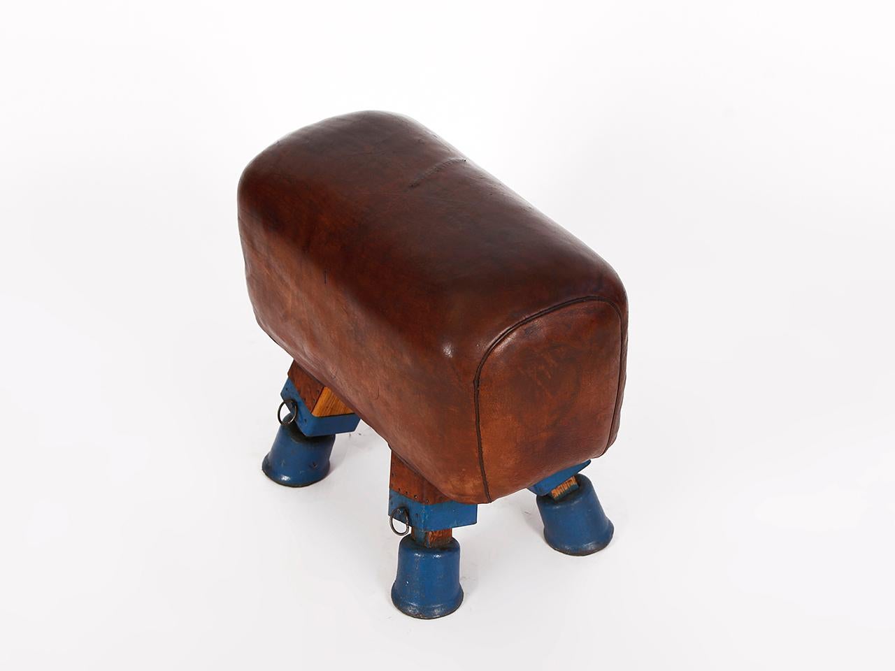 Tschechische Gymnastik-Hockerbank aus Leder, Vintage, Pommelpferd, Top, 1930er Jahre im Angebot 1