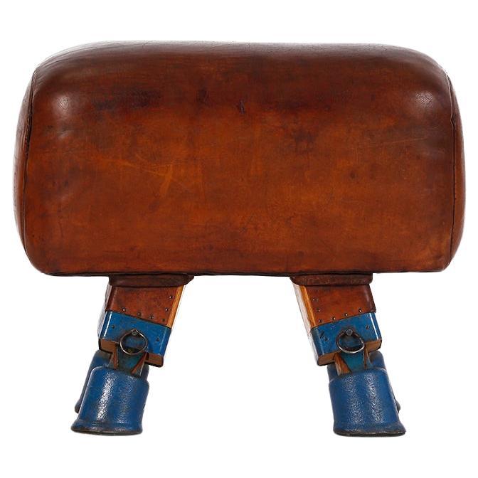 Vintage Czech Leather Gymnastics Stool Bench Pommel Horse Top 1930s