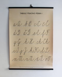 Vintage Czech School Poster