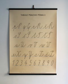 Vintage Czech School Poster II.