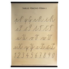Vintage Czech School Poster II.