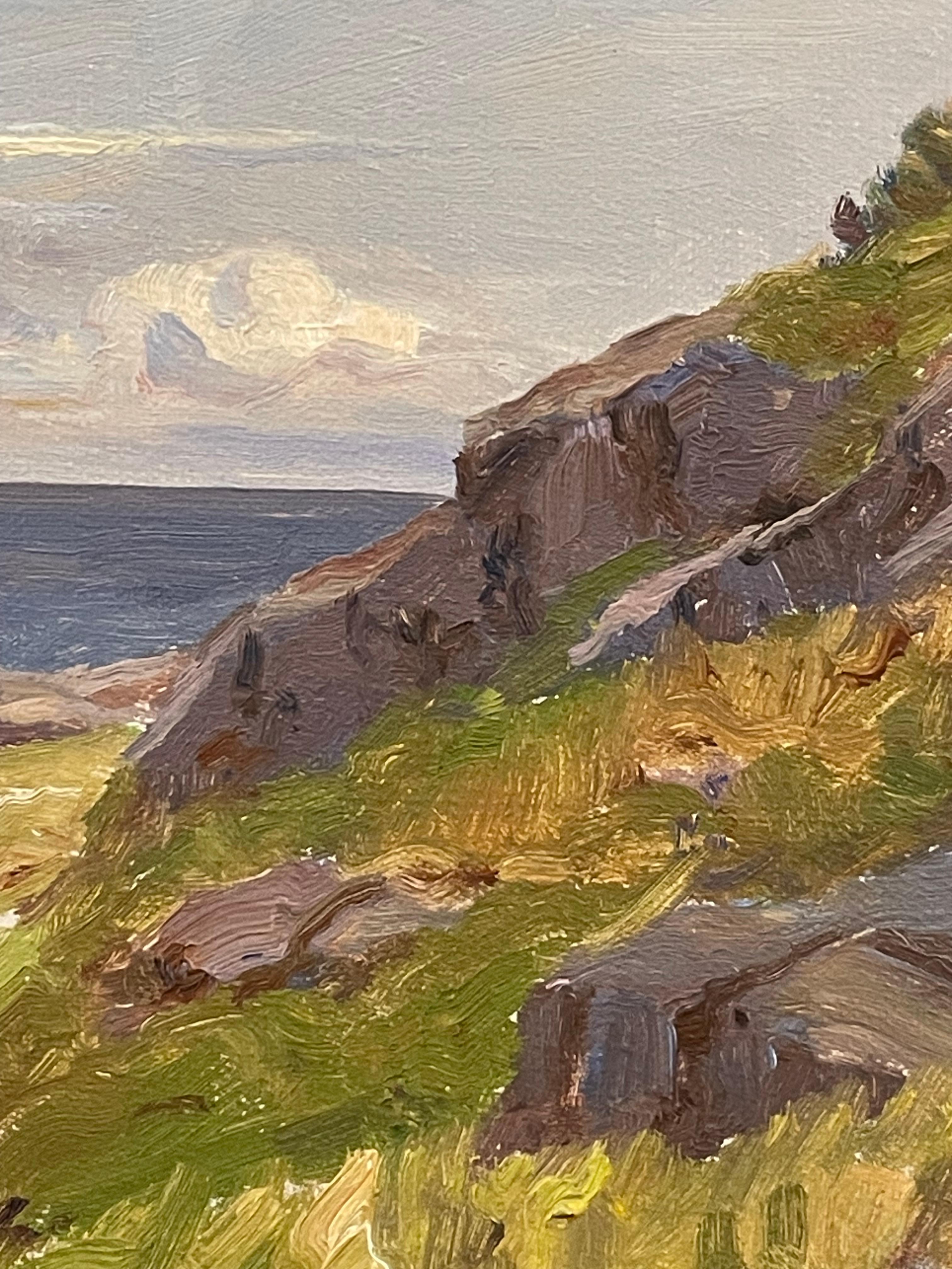 Danese Quadro danese d'epoca di metà secolo raffigurante un paesaggio costiero nella calda luce pomeridiana in vendita