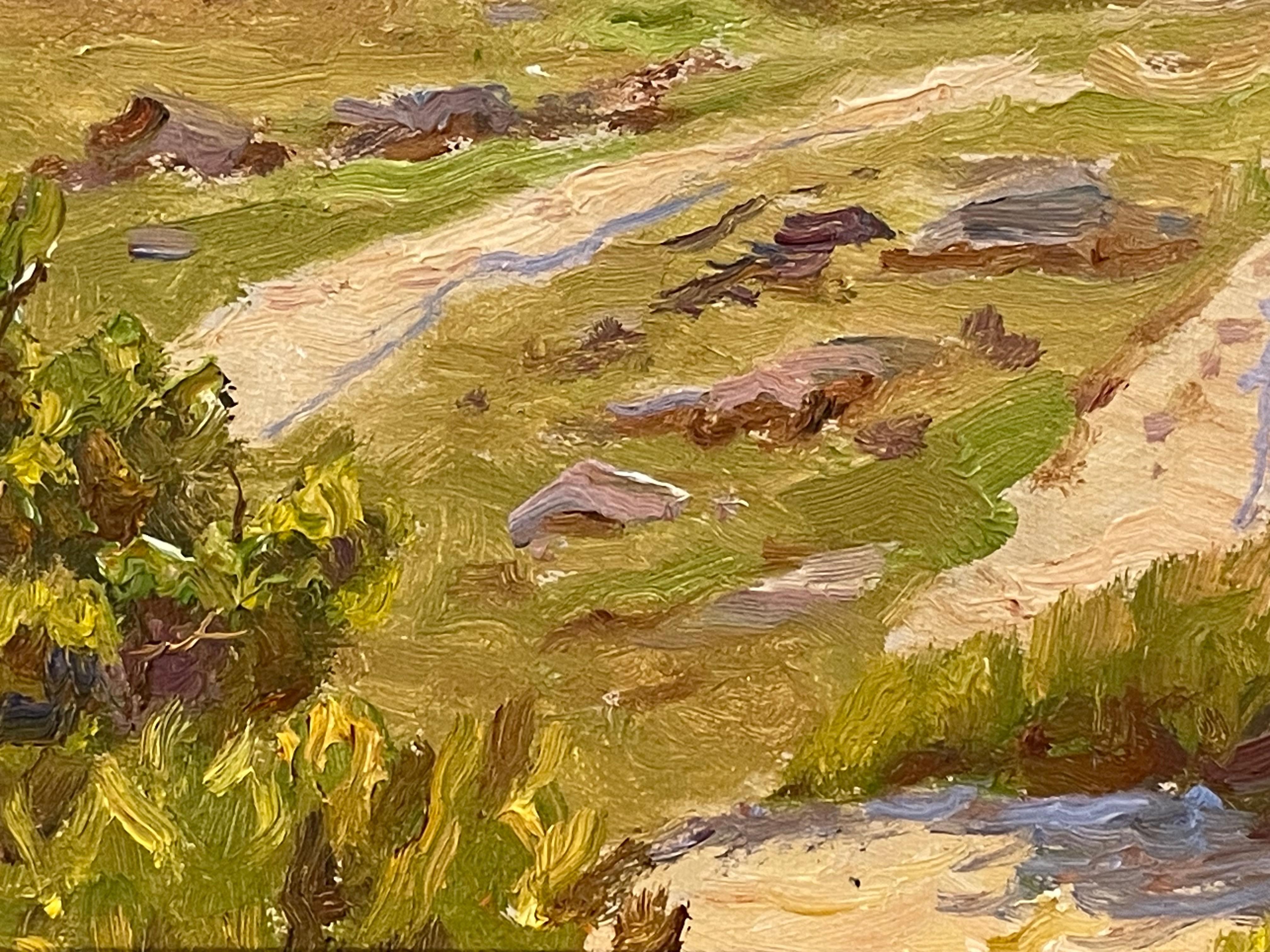 Dipinto a mano Quadro danese d'epoca di metà secolo raffigurante un paesaggio costiero nella calda luce pomeridiana in vendita