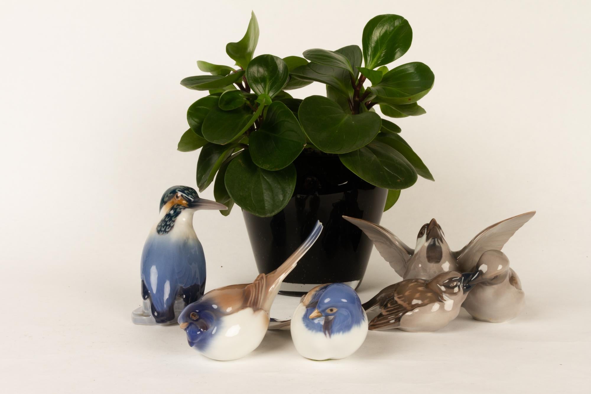 Figurines d'oiseaux danoises vintage en porcelaine de Dahl Jensen pour B&G, années 1960 en vente 7