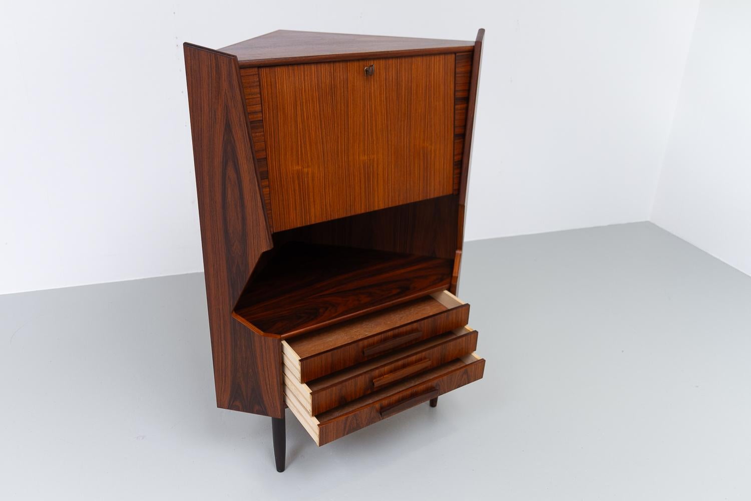 Vintage Danish Rosewood Corner Cabinet with Dry Bar, 1960s. For Sale 6