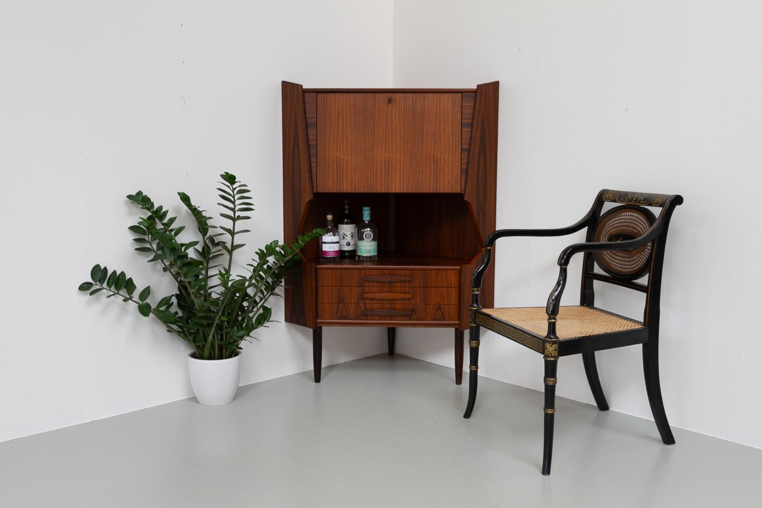 Vintage Danish Rosewood Corner Cabinet with Dry Bar, 1960s. For Sale 9