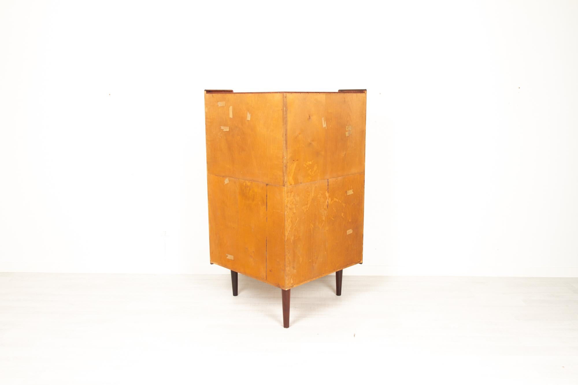 Vintage Danish Rosewood Corner Cabinet with Dry Bar, 1960s 11