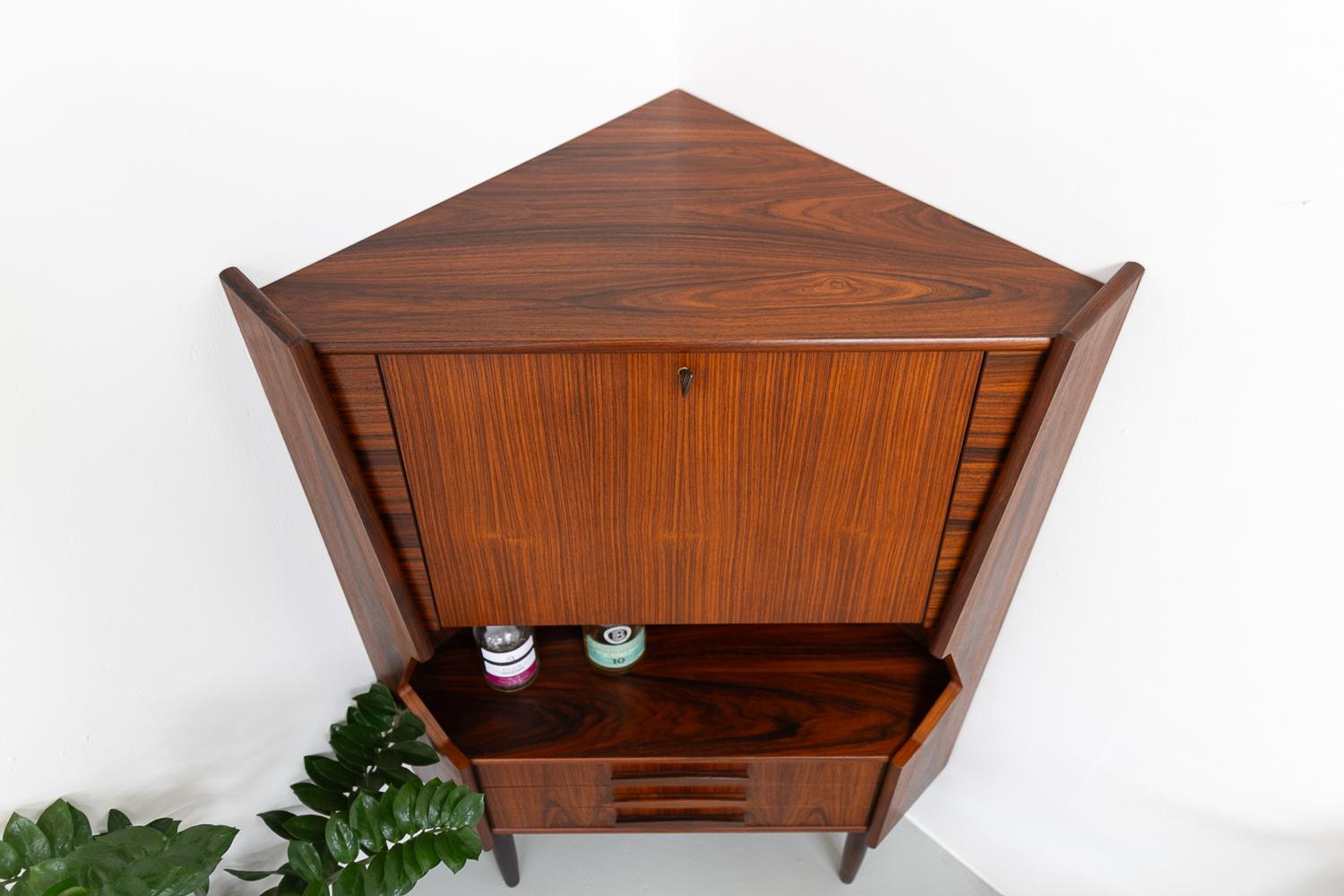 Vintage Danish Rosewood Corner Cabinet with Dry Bar, 1960s. For Sale 11