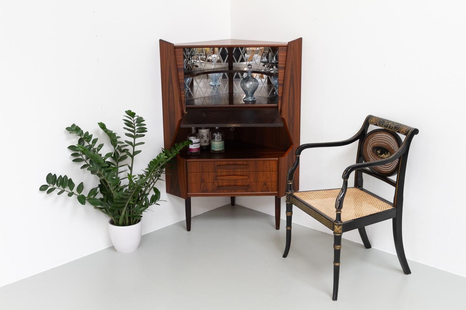 Vintage Danish Rosewood Corner Cabinet with Dry Bar, 1960s. For Sale 13