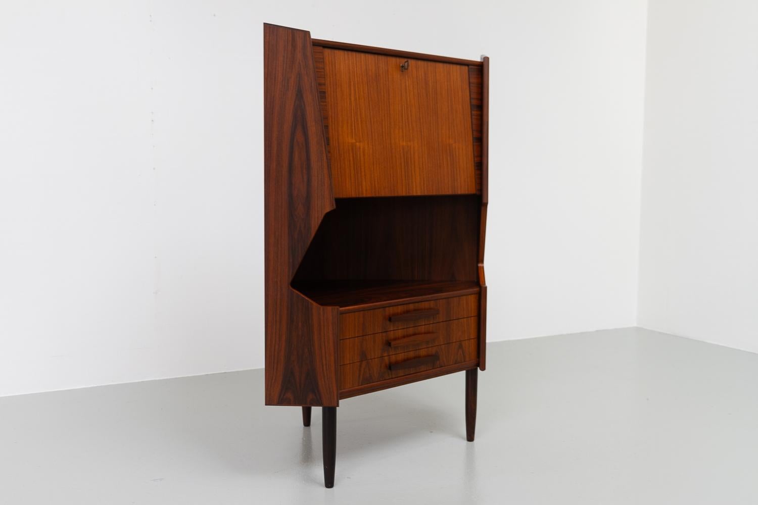 Scandinavian Modern Vintage Danish Rosewood Corner Cabinet with Dry Bar, 1960s. For Sale