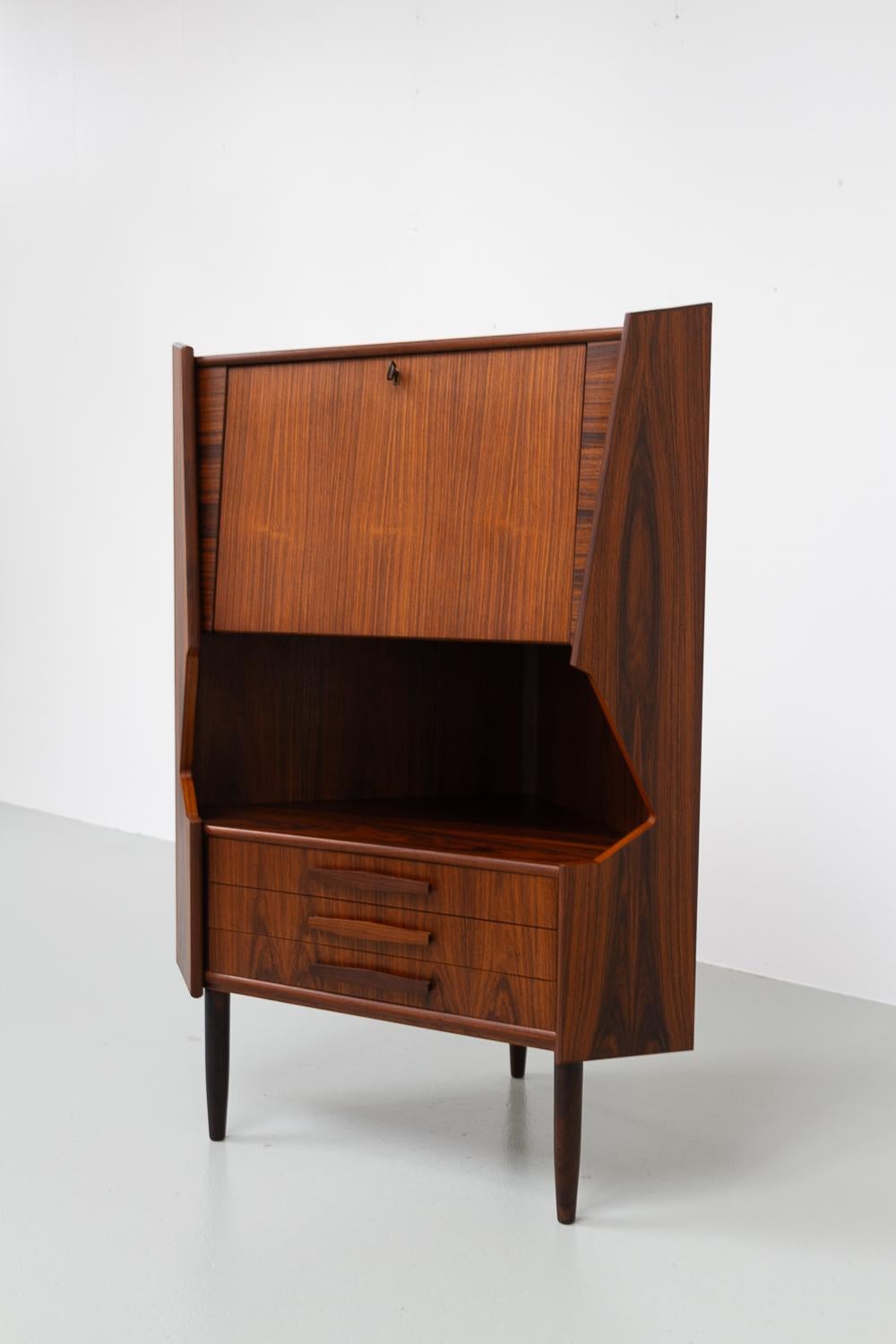 Vintage Danish Rosewood Corner Cabinet with Dry Bar, 1960s. In Good Condition For Sale In Asaa, DK
