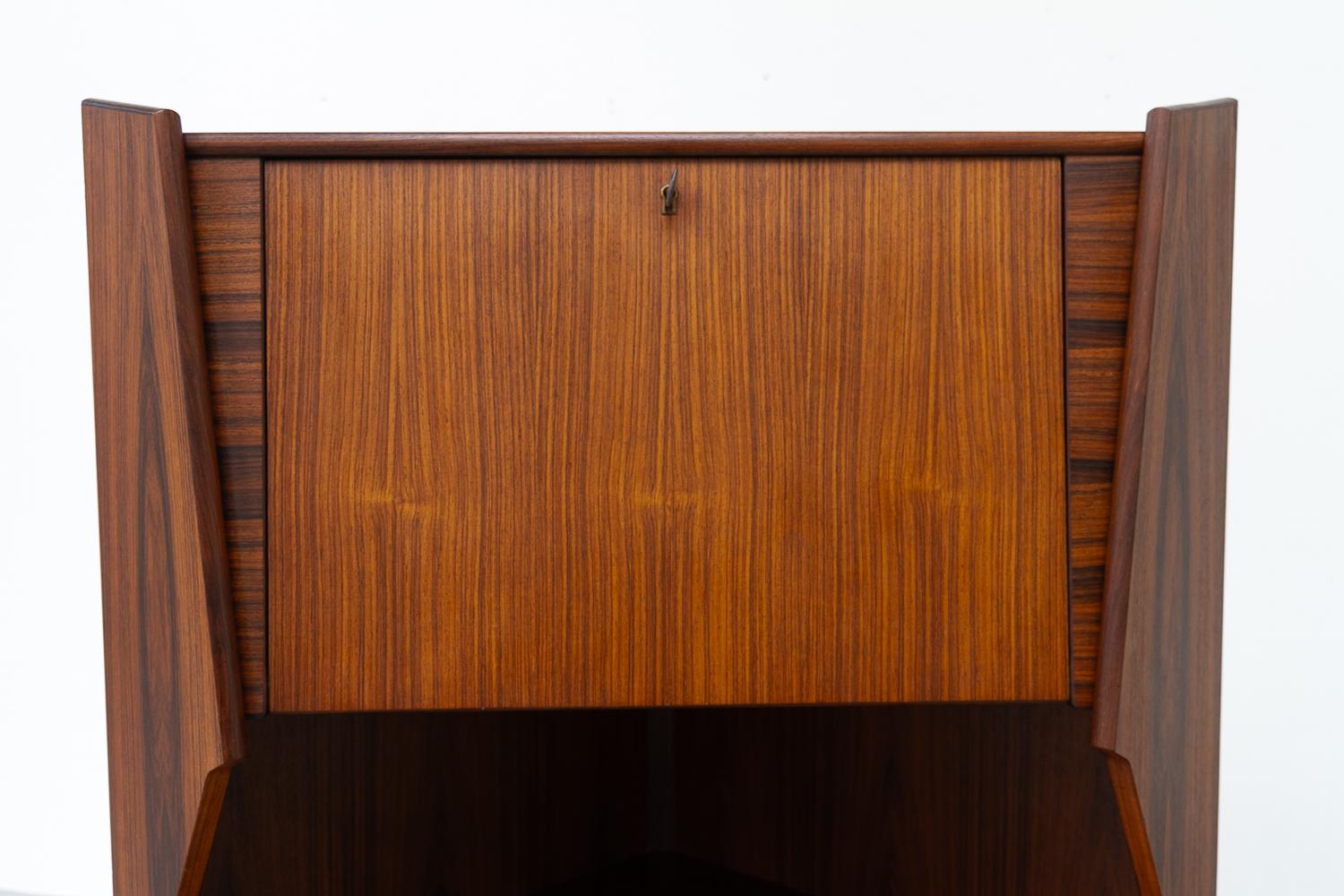 Vintage Danish Rosewood Corner Cabinet with Dry Bar, 1960s. For Sale 1