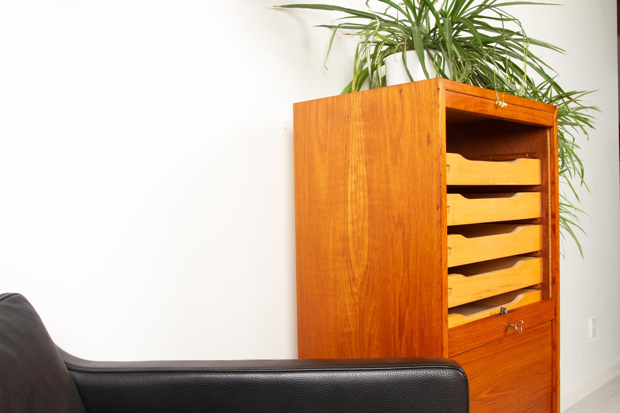 Vintage Danish Teak Cabinet with Tambour Front, 1960s 11