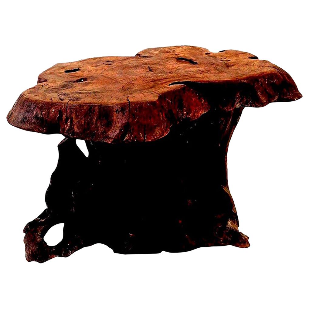 Vintage Dark Brown Tree Trunk Coffee Table 2