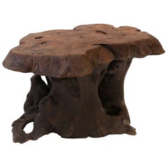Vintage Dark Brown Tree Trunk Coffee Table