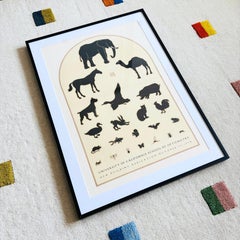 David Lance Goines 1978 Optometria Litografia d'epoca