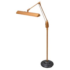 Floor Lamps