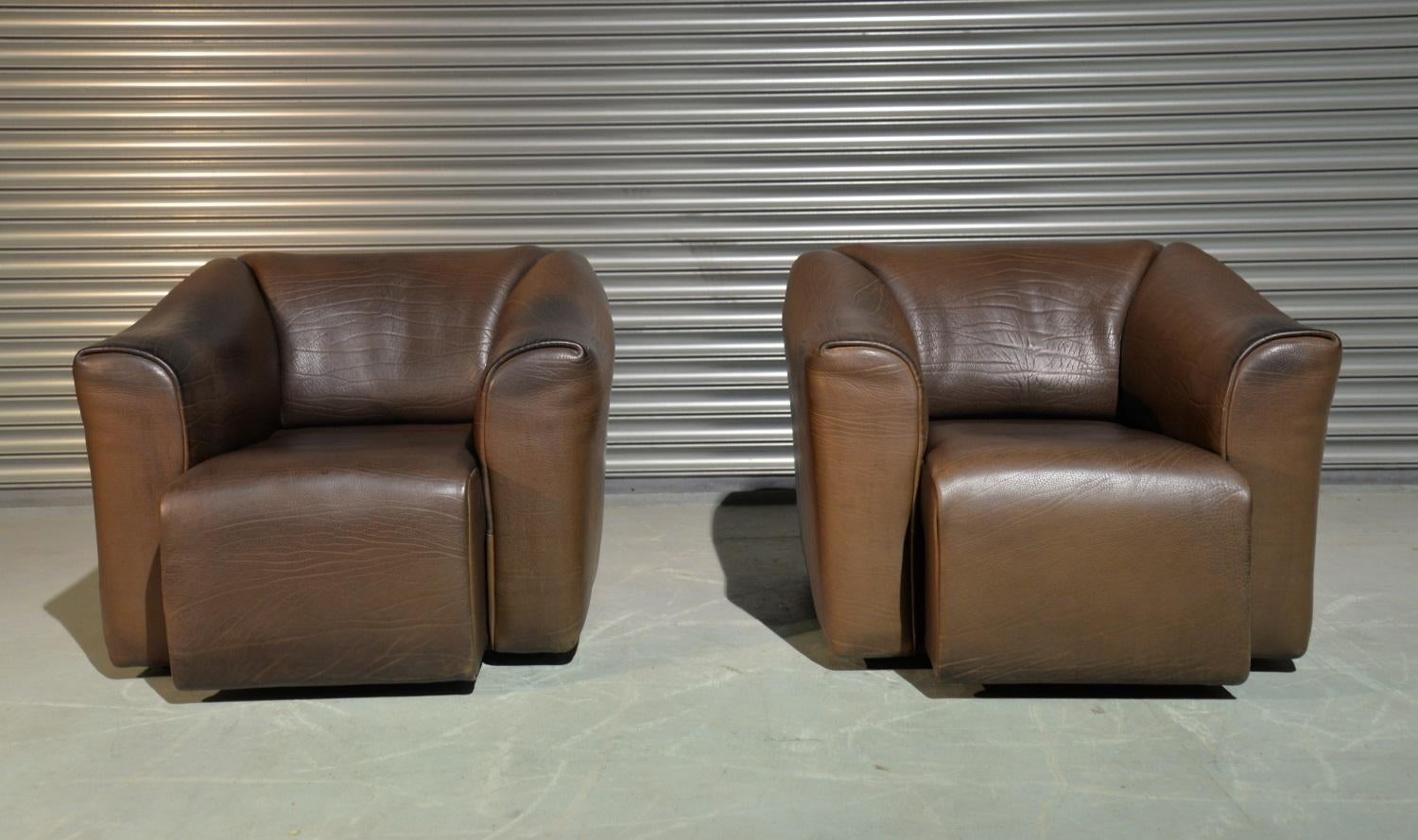 Vintage De Sede DS 47 Armchairs, Switzerland, 1970s For Sale 2