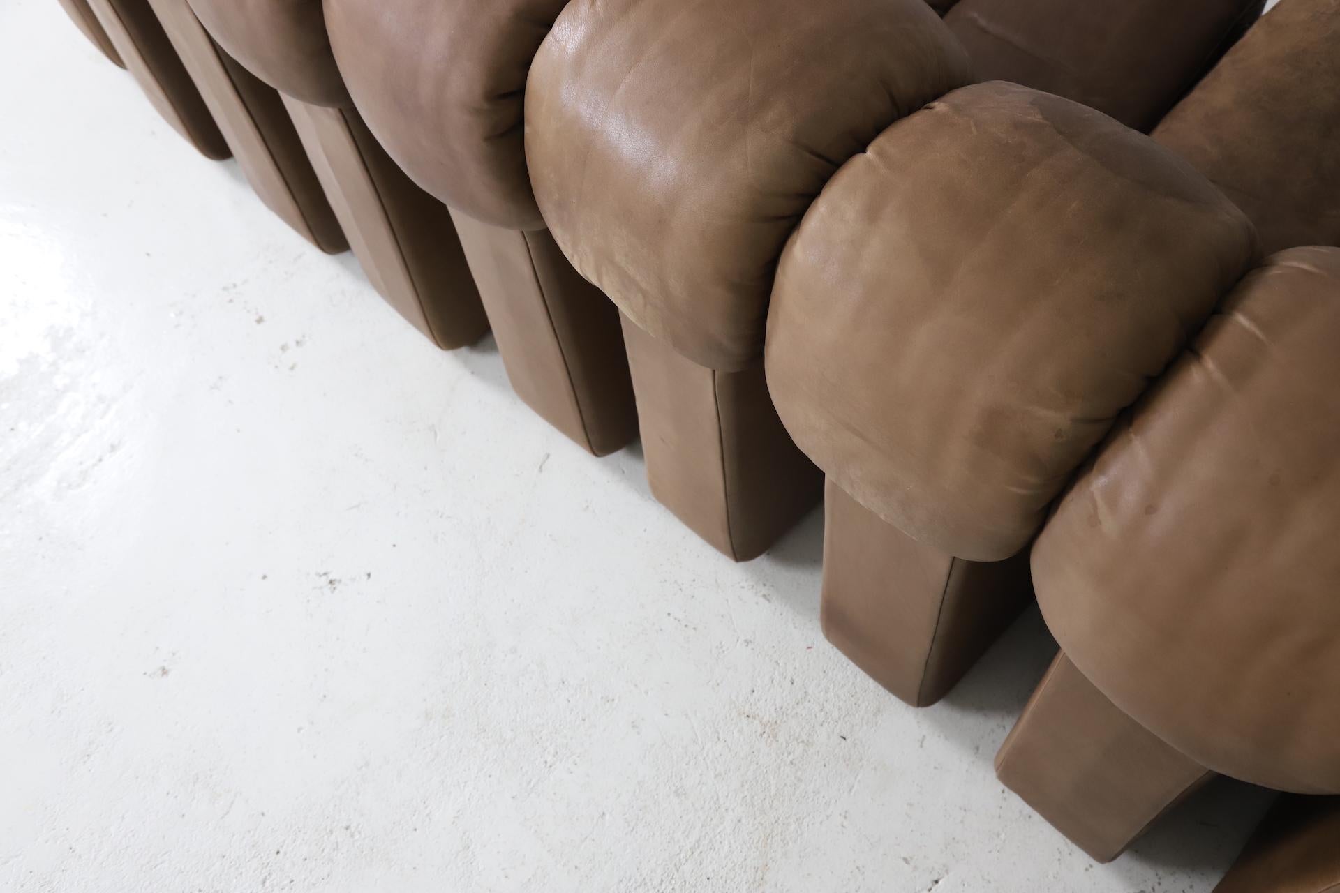 Vintage De Sede Ds-600 'Snake' Sectional Sofa in Full Leather, 1980s 6