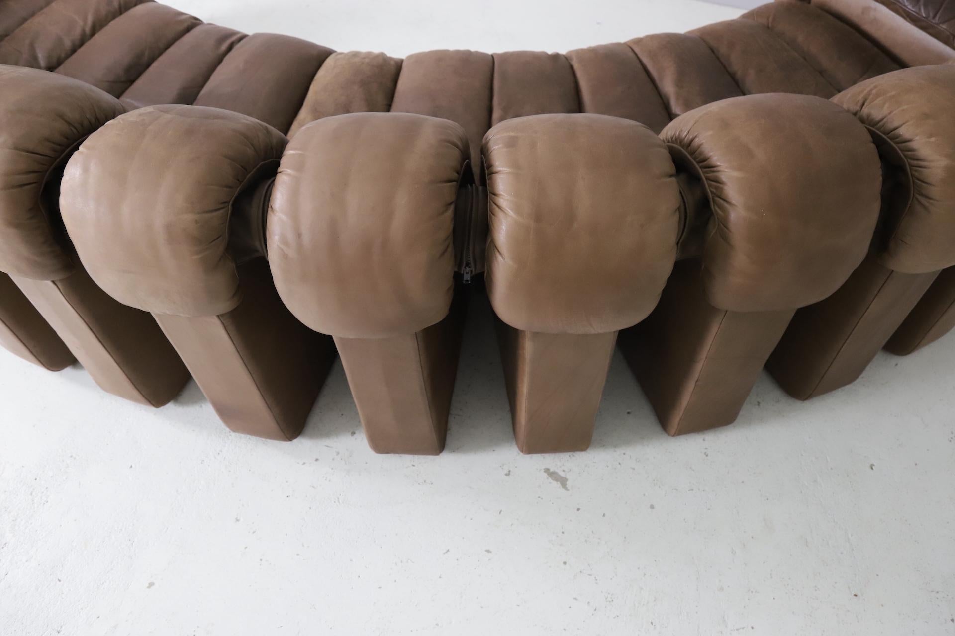 Vintage De Sede Ds-600 'Snake' Sectional Sofa in Full Leather, 1980s 7