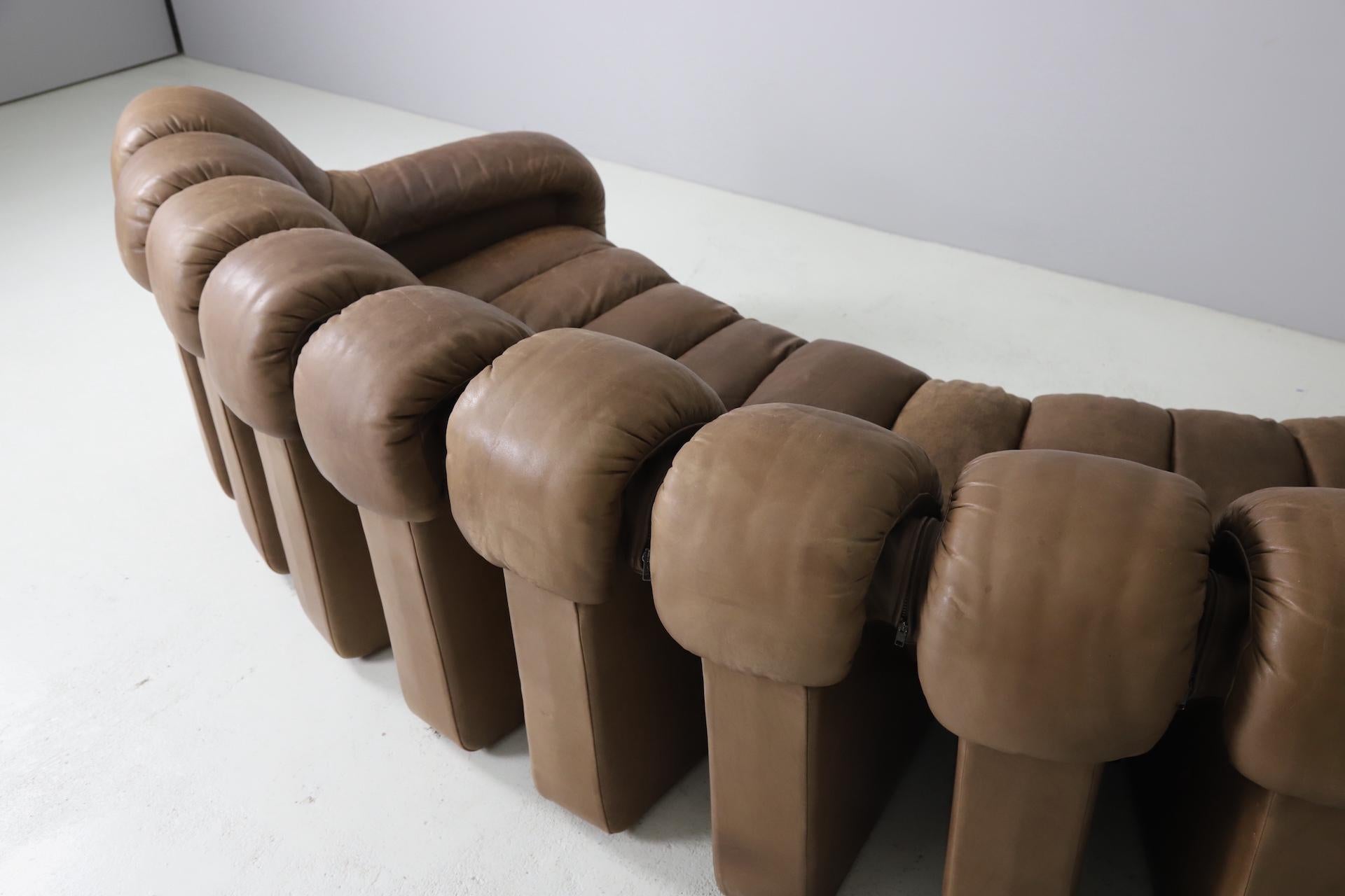 Vintage De Sede Ds-600 'Snake' Sectional Sofa in Full Leather, 1980s 8