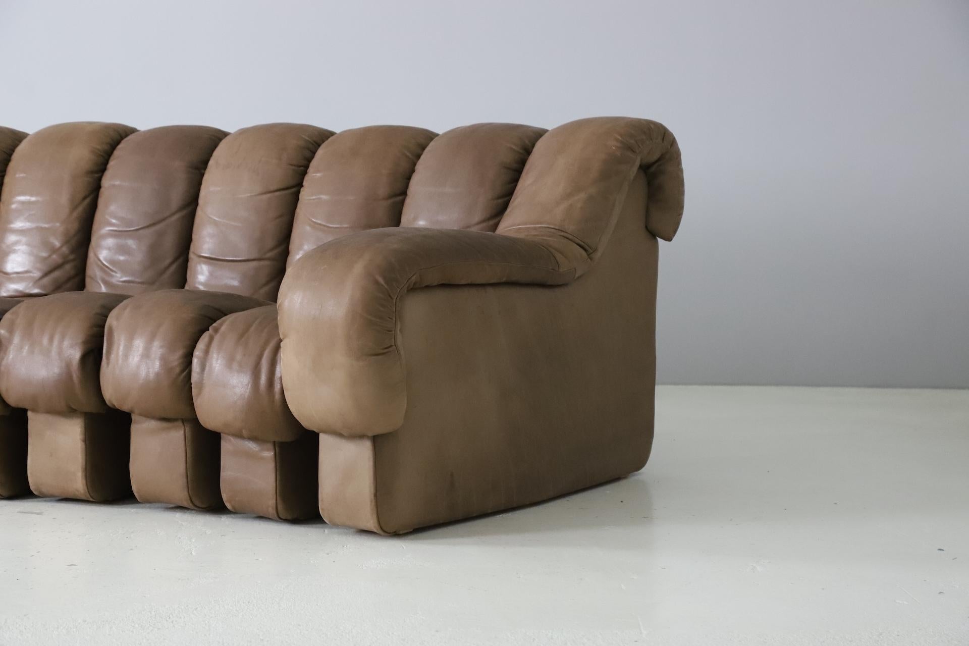 Swiss Vintage De Sede Ds-600 'Snake' Sectional Sofa in Full Leather, 1980s
