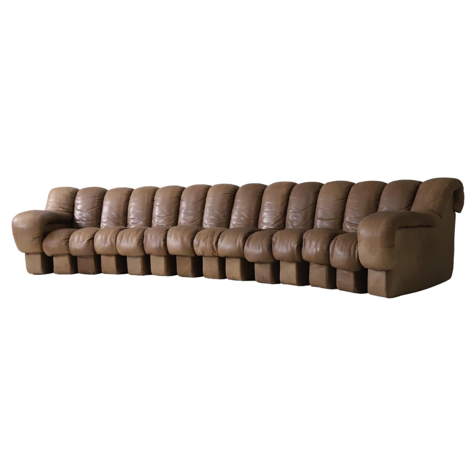 Vintage De Sede Ds-600 'Snake' Sectional Sofa in Full Leather, 1980s