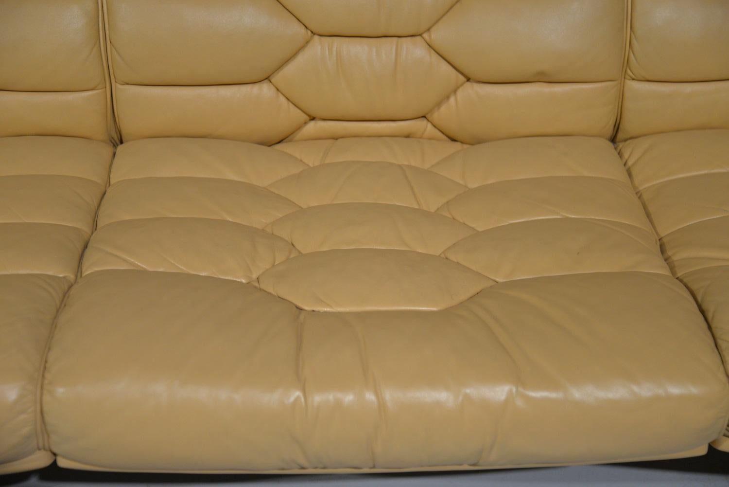 Vintage De Sede Leather DS-P Sofa by Robert Haussmann, Switzerland, 1970s For Sale 9
