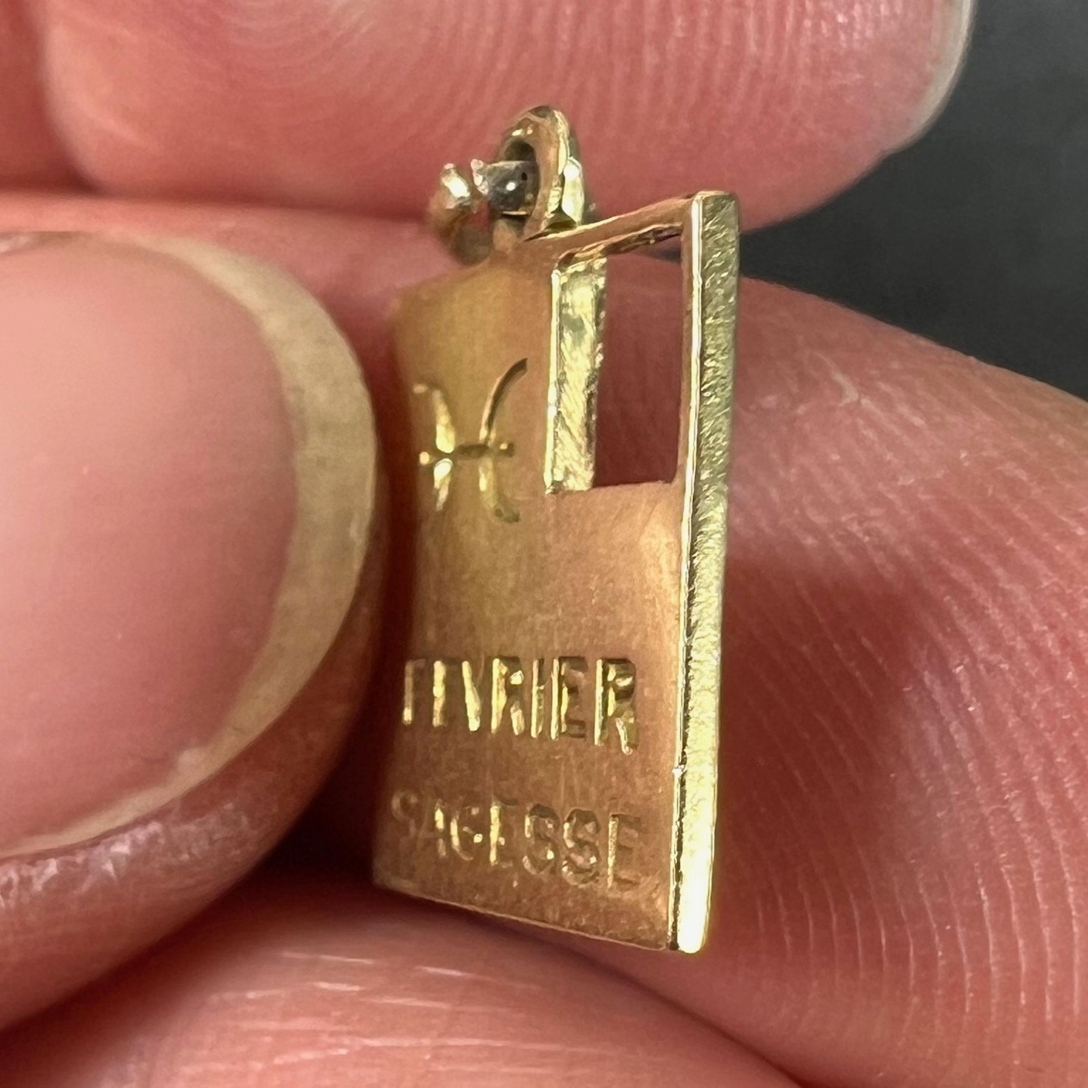 Pendentif en or jaune 18K avec breloque vintage déco February Wisdom Pisces Flag Enamel en vente 5
