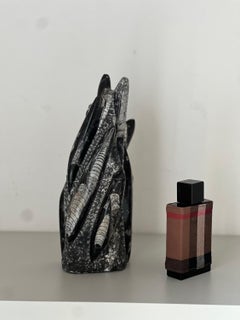 Vintage Decorative fossil stone Sculpture sculpure, maroccan Orthoceras