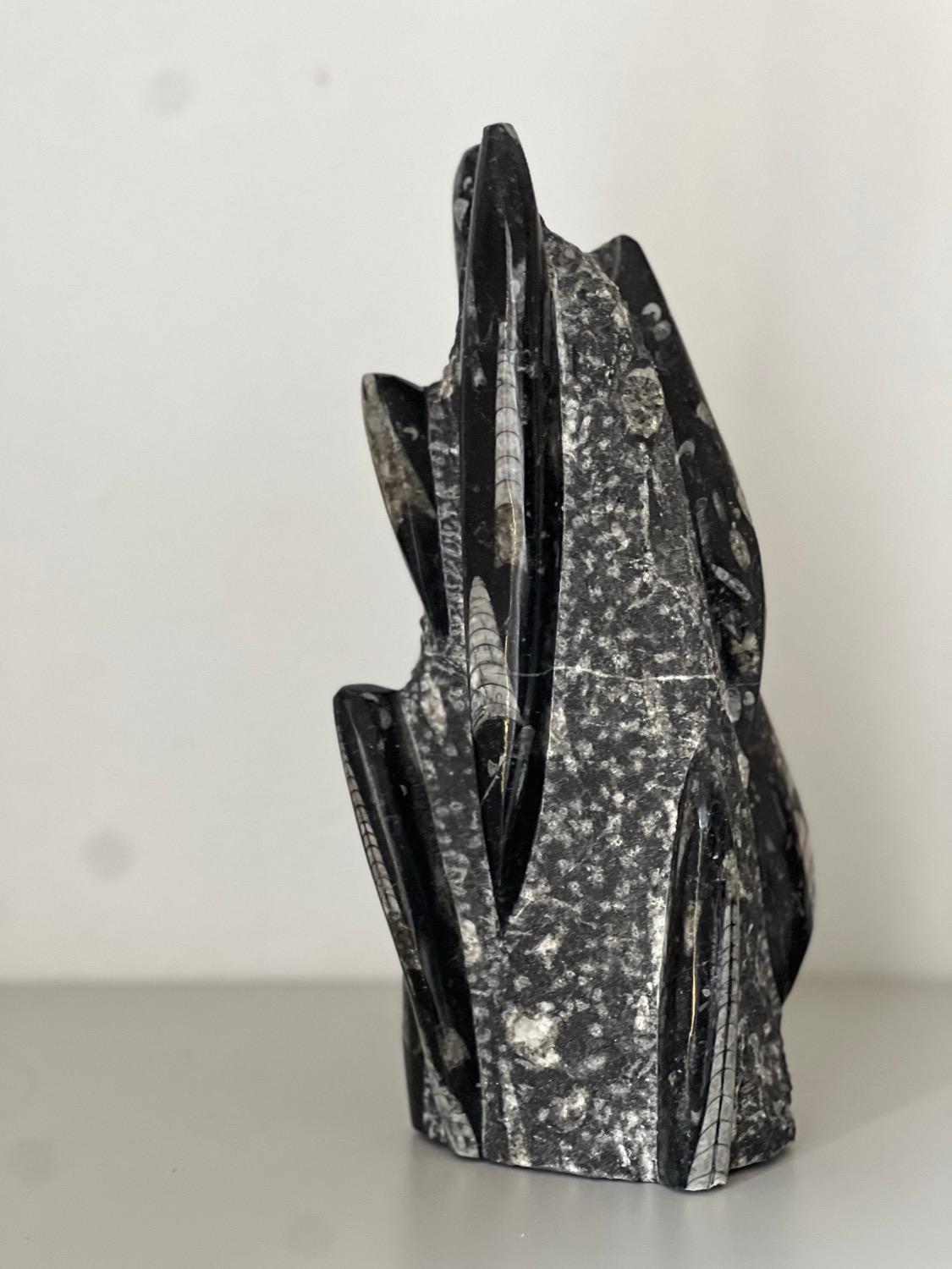 Vintage Escultura decorativa de piedra fósil, marroquí Orthoceras Moderno de mediados de siglo en venta