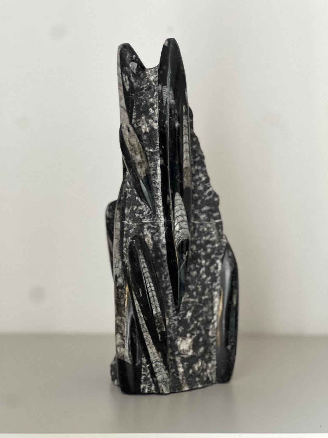 Vintage Escultura decorativa de piedra fósil, marroquí Orthoceras Italiano en venta