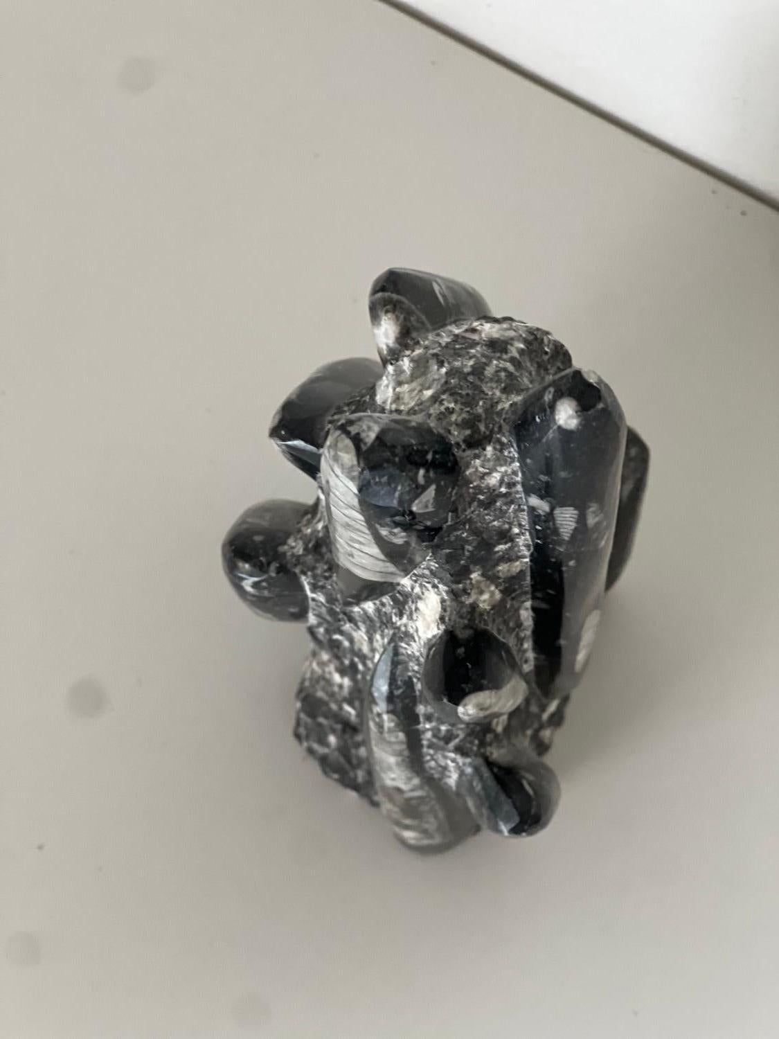 Vintage Escultura decorativa de piedra fósil, marroquí Orthoceras finales del siglo XX en venta