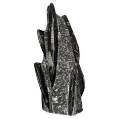 Vintage Escultura decorativa de piedra fósil, marroquí Orthoceras
