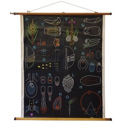 Vintage, Decorative Dr Auzoux Sougy Pull Down School Wall Chart, Botanical
