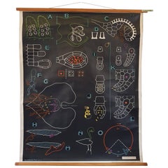 Vintage, Decorative Dr Auzoux Sougy Pull Down School Wall Chart, Botanical