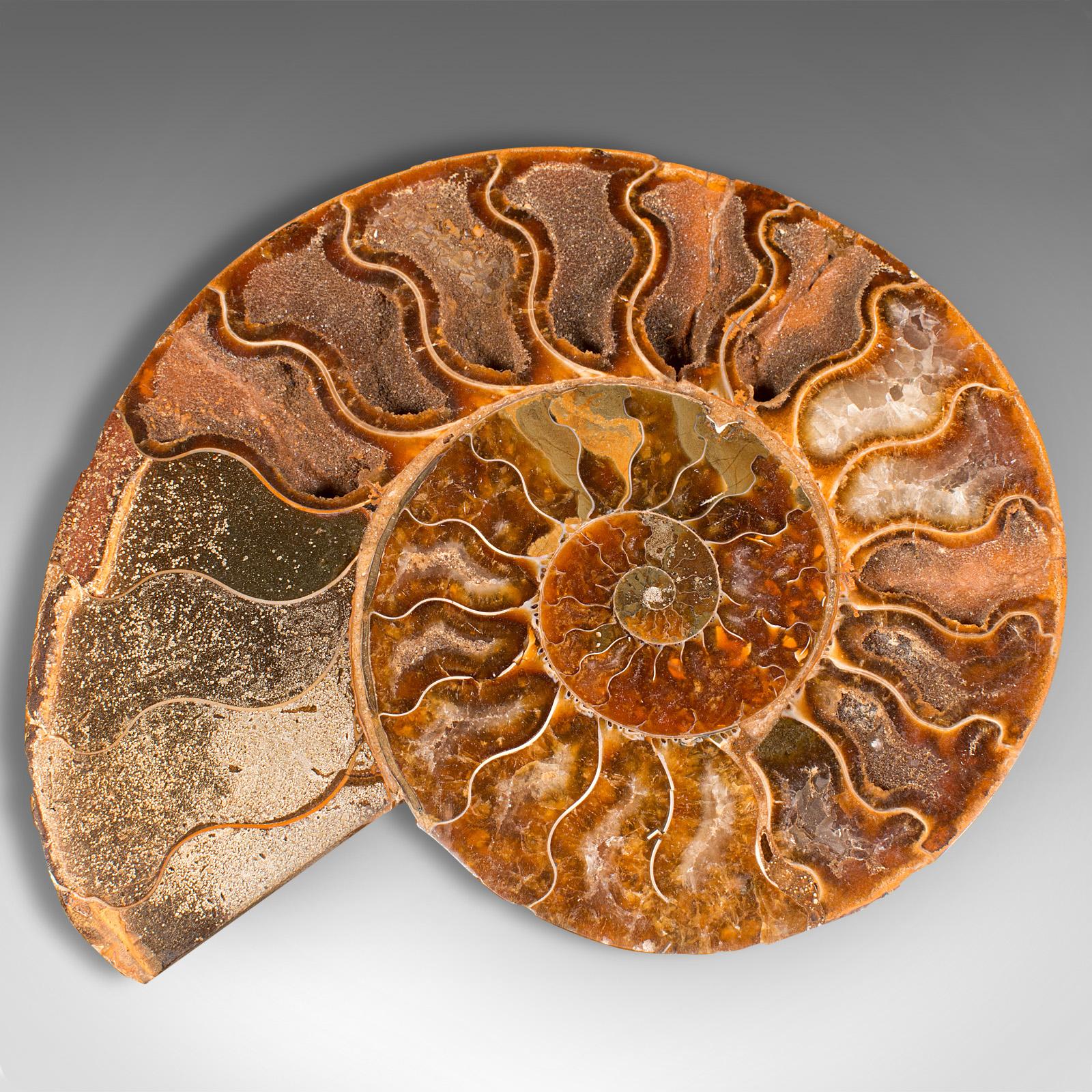 Vintage Decorative Halved Ammonite, African, Fossil, Display Plinth, Cretaceous For Sale 3