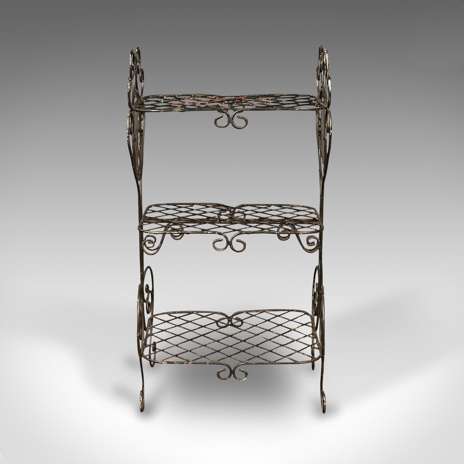 This is a vintage decorative planter stand. A French, wire work jardiniere or kitchen whatnot with Art Nouveau revival taste, dating to the mid 20th century, circa 1950.

Sinuous forms enhanced with hand-painted delight
Displays a desirable aged