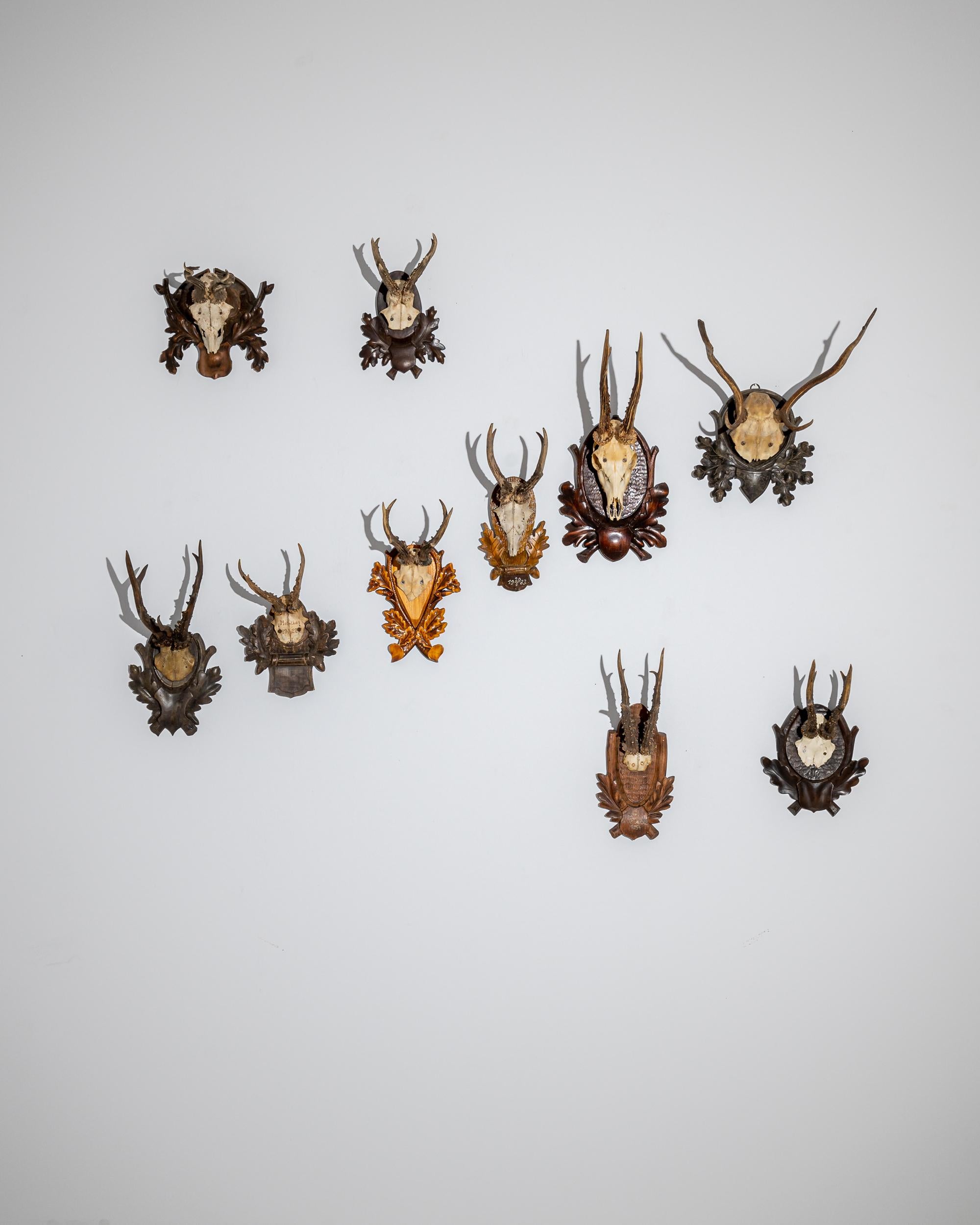 This intriguing collection of animal skull wall decorations was made in the 20th century in 
Central Europe. A traditional pastime, every accent piece features a wooden base carved in the shape of an oak leaf wreath that artfully frames the scalp