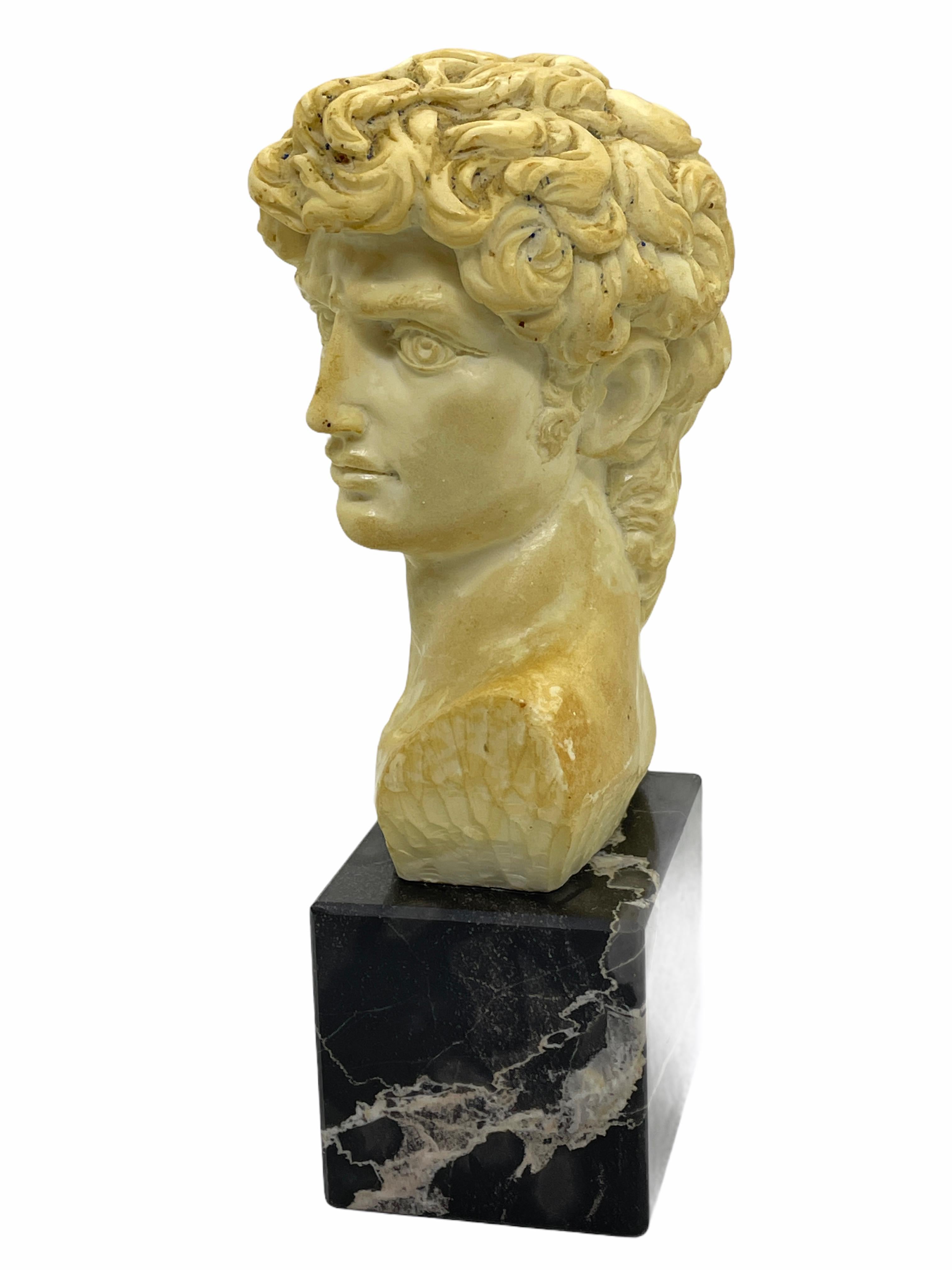 A classic decorative Bust statue. Some wear with a nice patina, but this is old-age. Made of a kind of stone (probably Alabaster) on a marble base. Very decorative and nice to display in your library or any room.