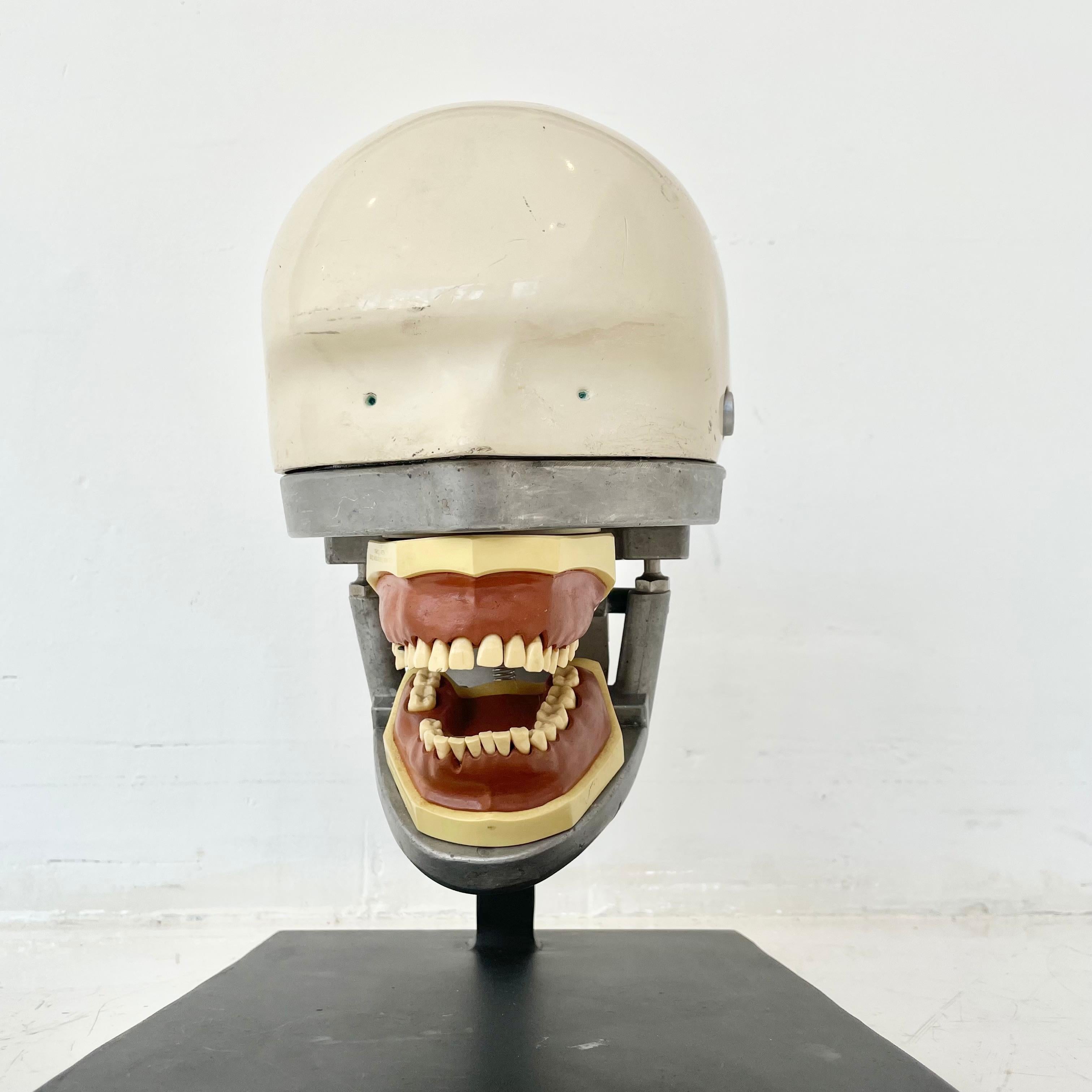 Vintage Dental Phantom 1