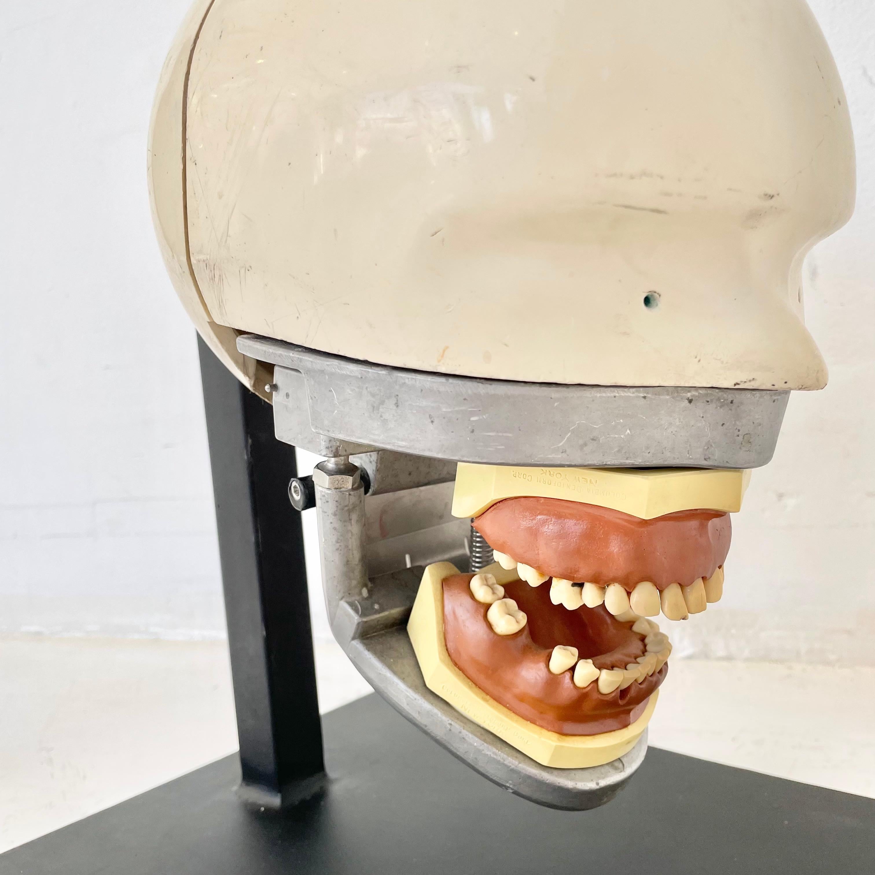Vintage Dental Phantom 3