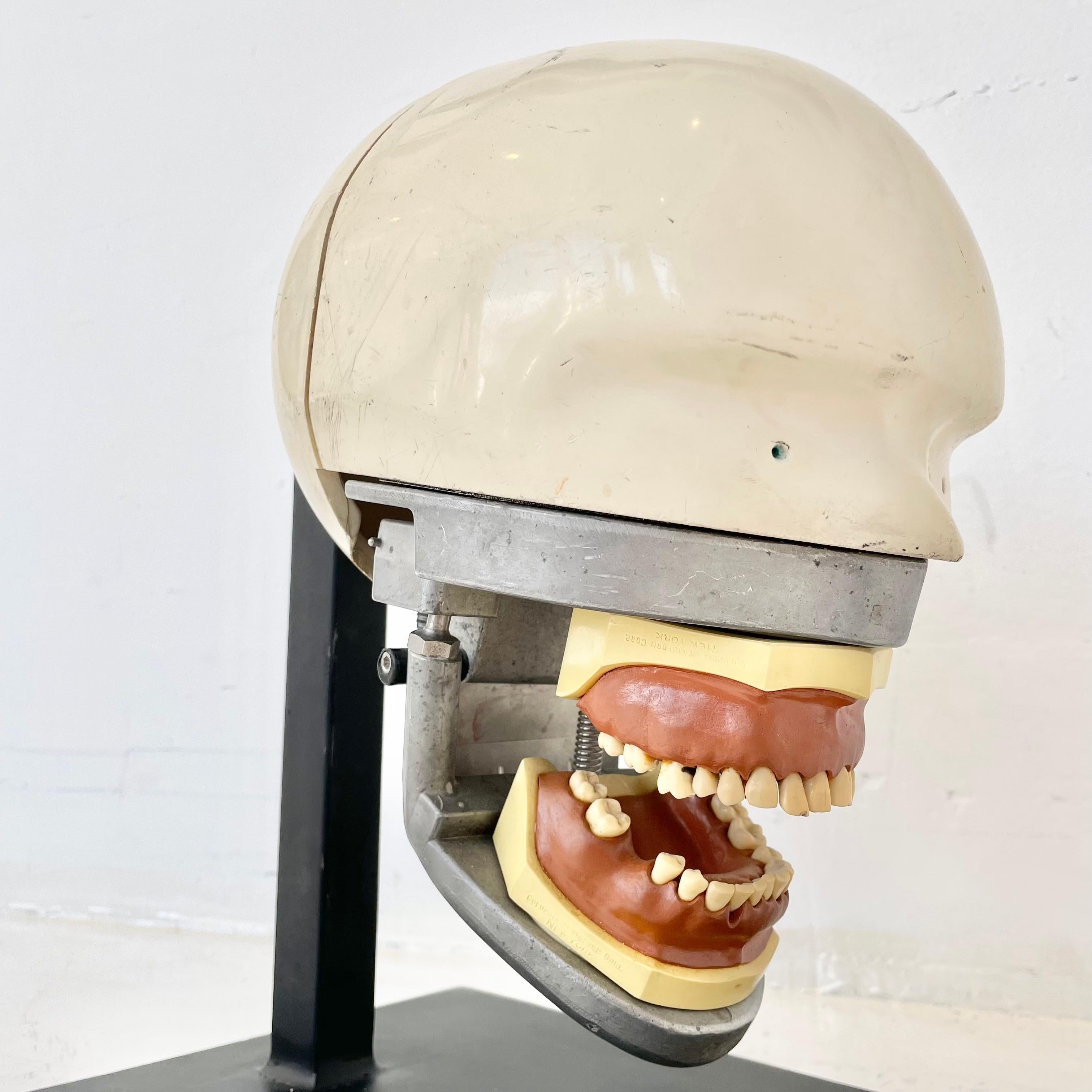 Vintage Dental Phantom 4