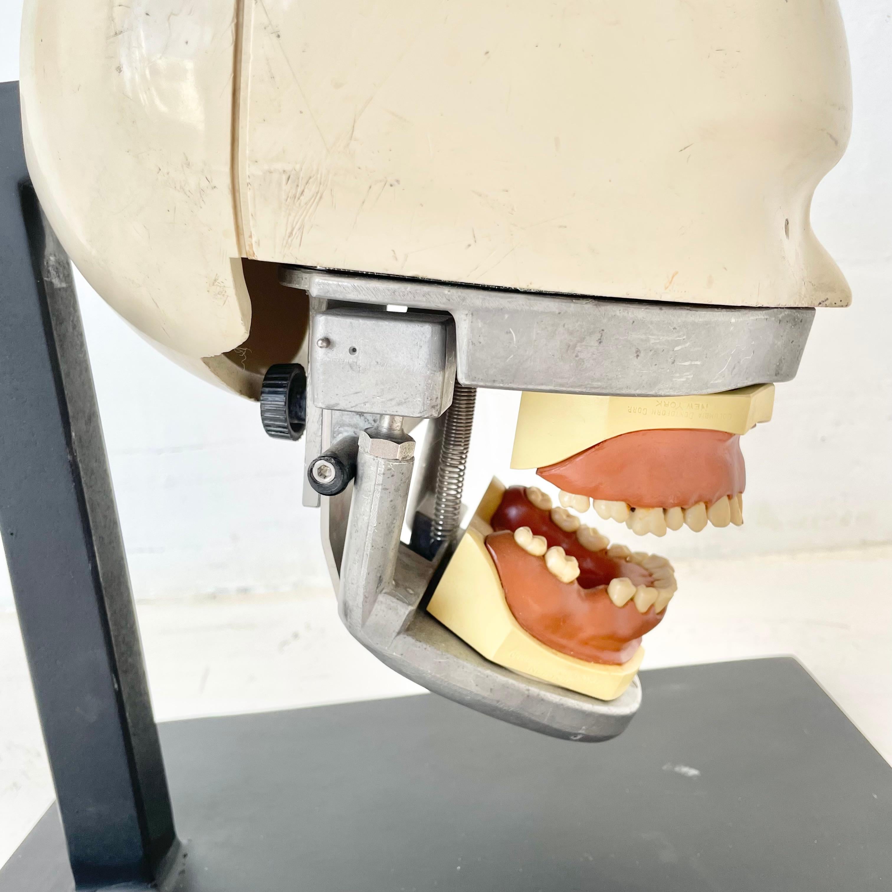 Vintage Dental Phantom 5