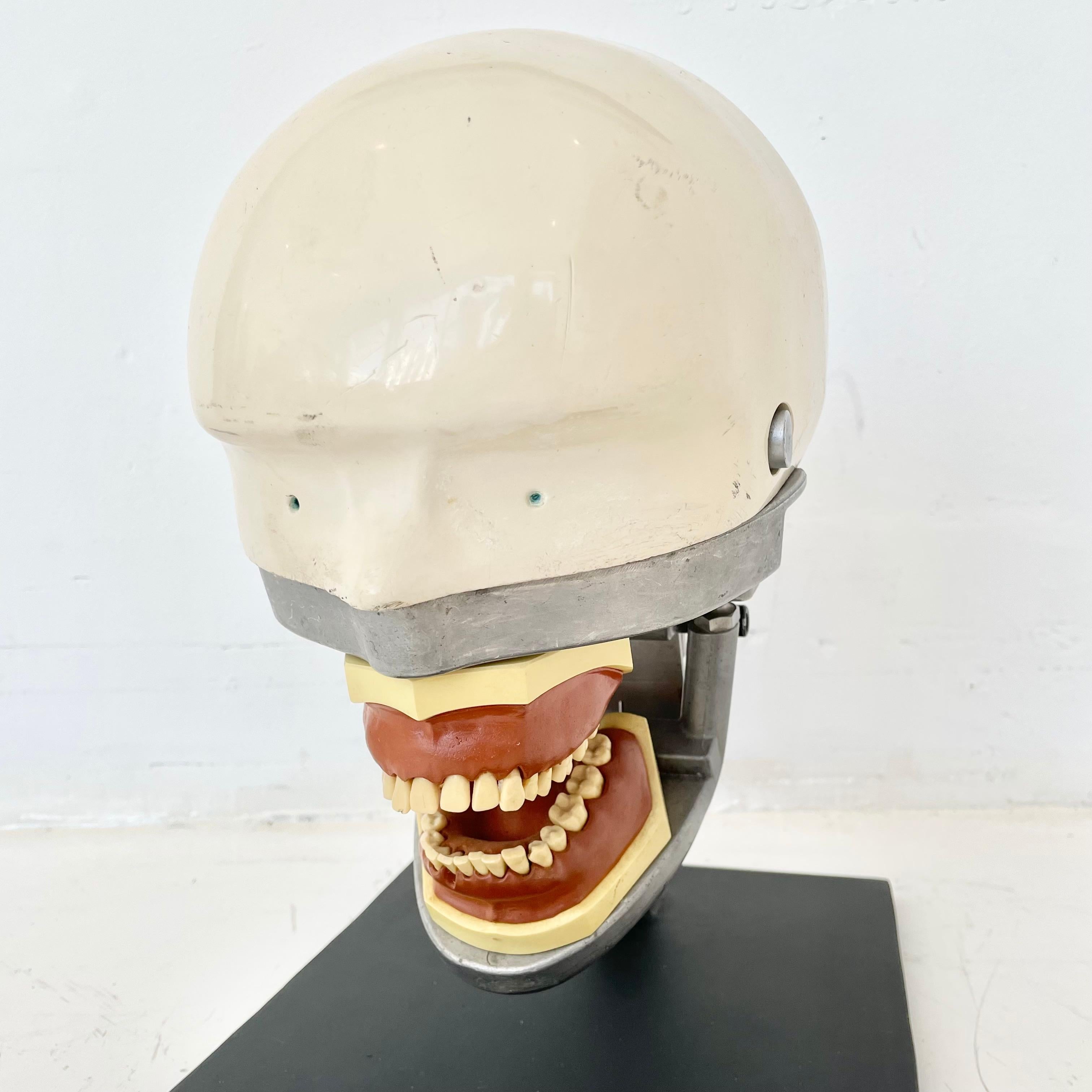 antique dental phantom