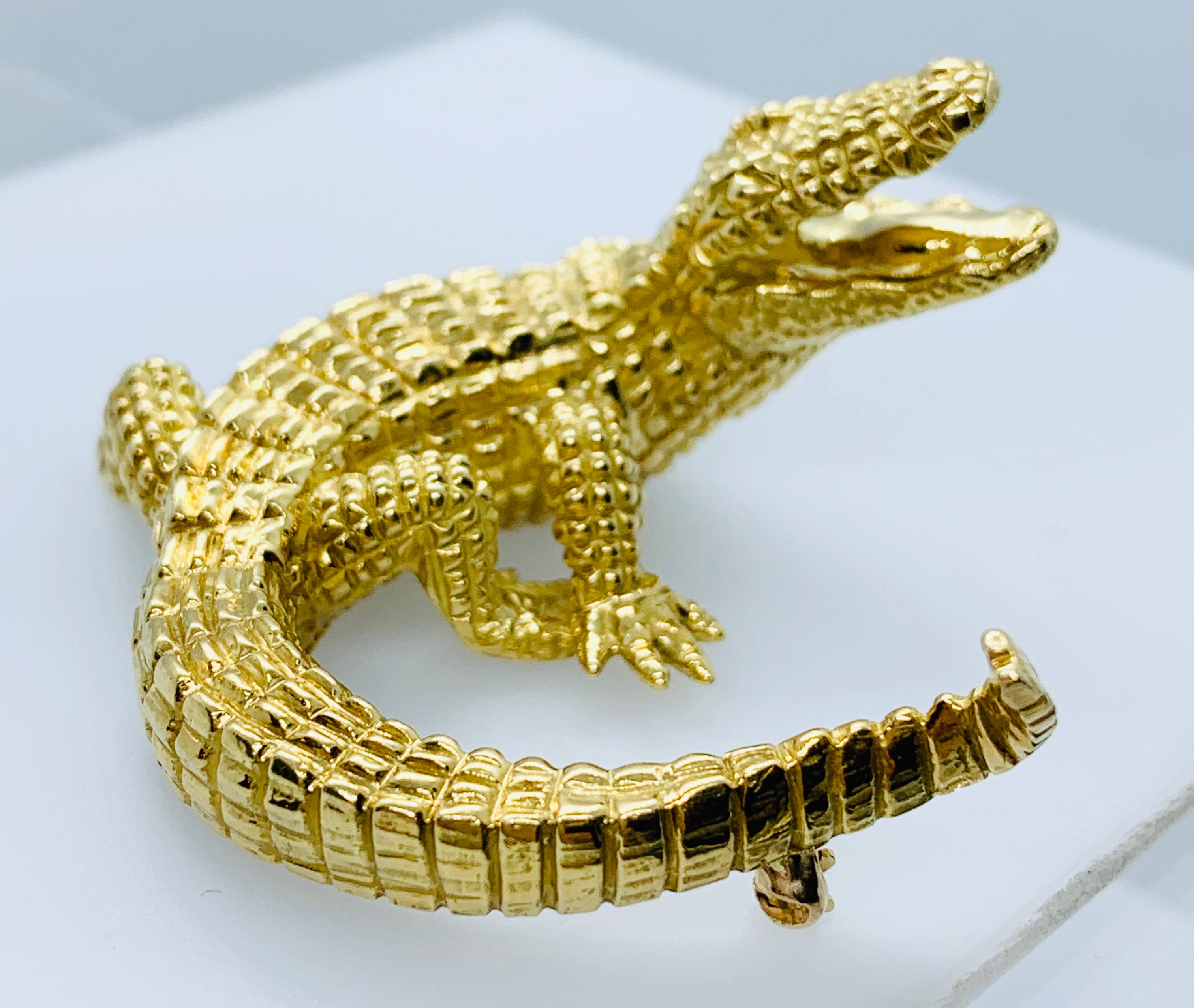 alligator designer